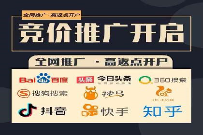 某公司通过百度竞价实现业务快速增长的案例
